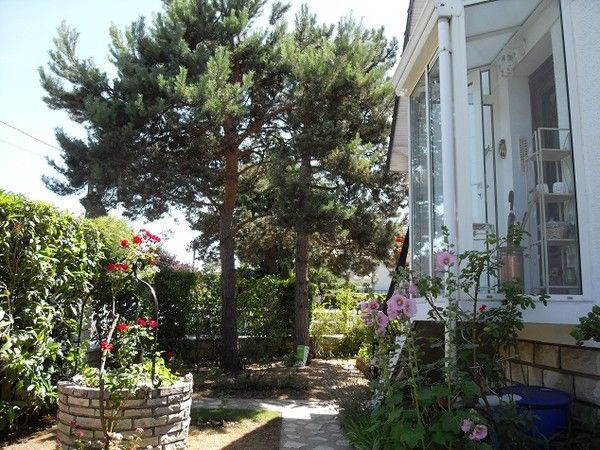 Le jardin vu de l'entrée