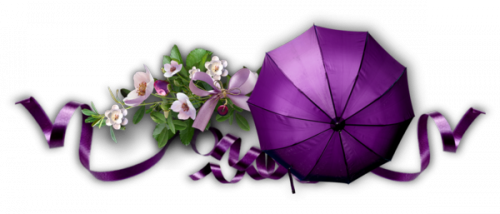 Résultat de recherche d'images pour "barre de separation printemps violet"