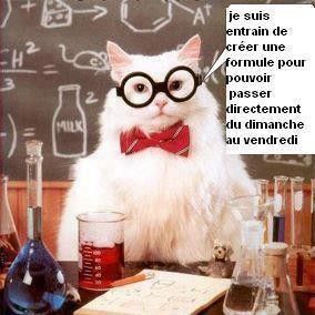 humour chat