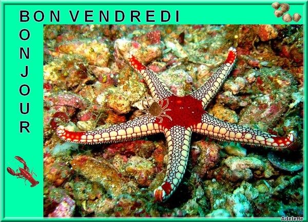 bonjour,bonsoir du mois de septembre 655ae744