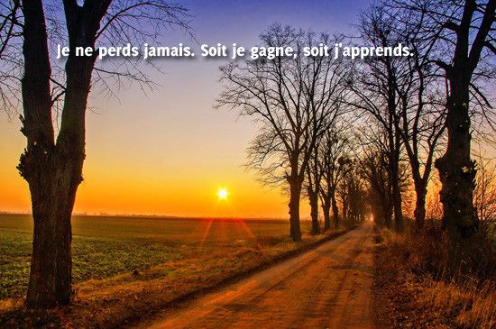 Je ne perds jamais