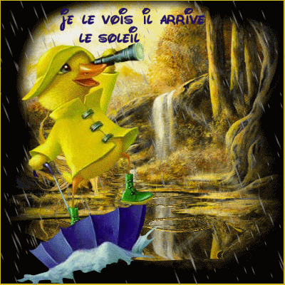 Le meilleur des images marrantes !: Archives