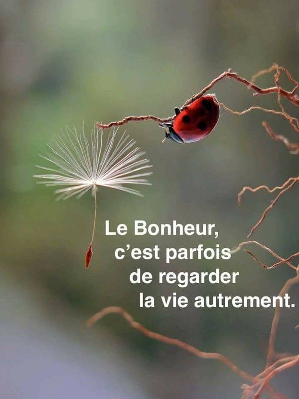 Le Bonheur