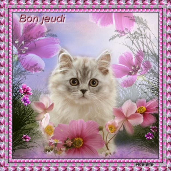 8_2_MARIE_ANGE.png_jeudi