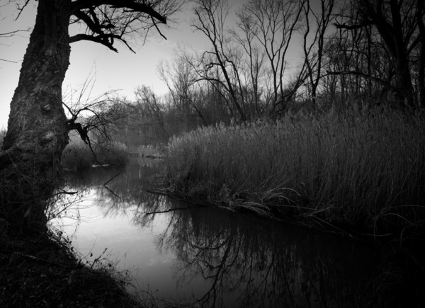 Fleuve noir et blanc