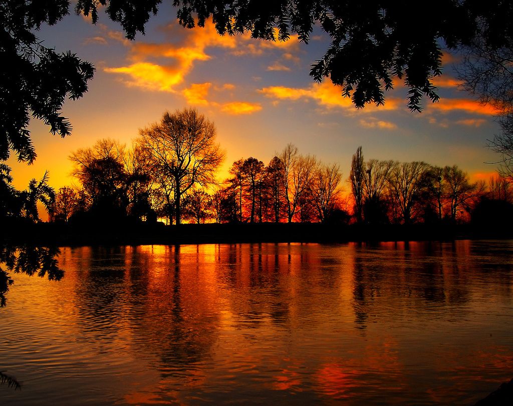 Paysage