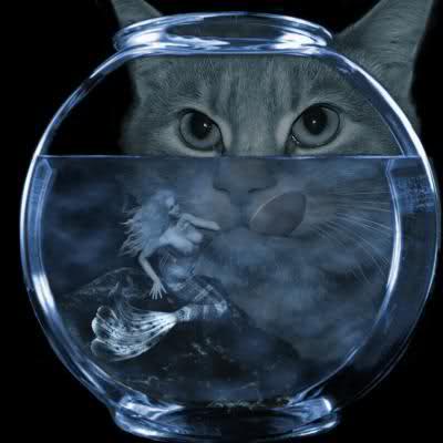 Attention, je te surveille